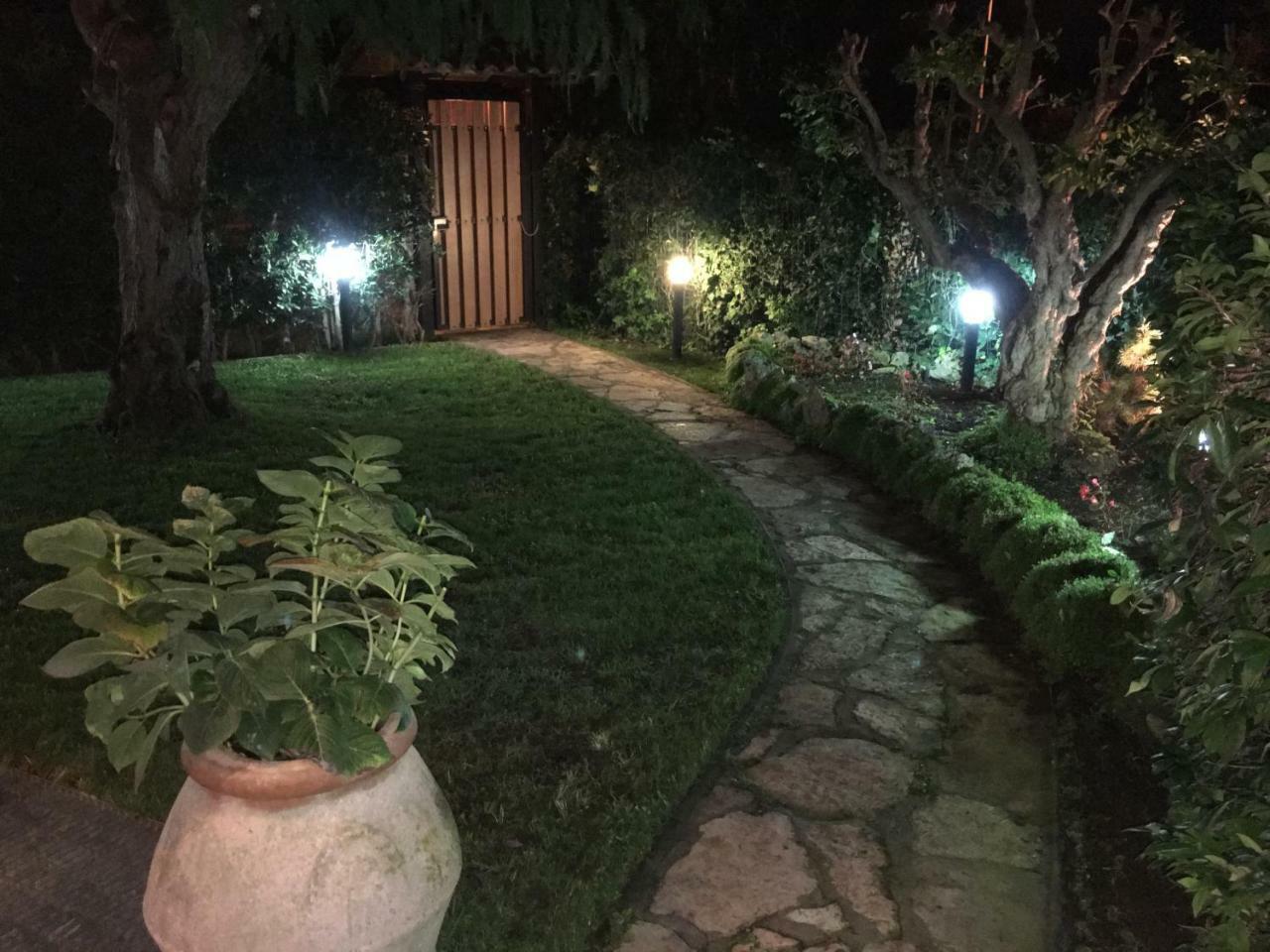 Villa Venere Near The Sea- 25 Minutes To S.Peter Ladispoli Exterior foto